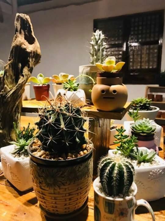 مطعم سامكارا ومنتجع جاردن Lucban المظهر الخارجي الصورة